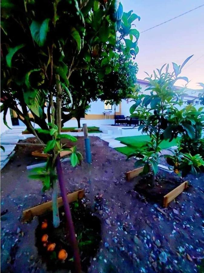 Villa Casa Da Laranjeira à Vale Covo  Extérieur photo