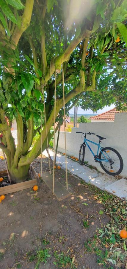 Villa Casa Da Laranjeira à Vale Covo  Extérieur photo