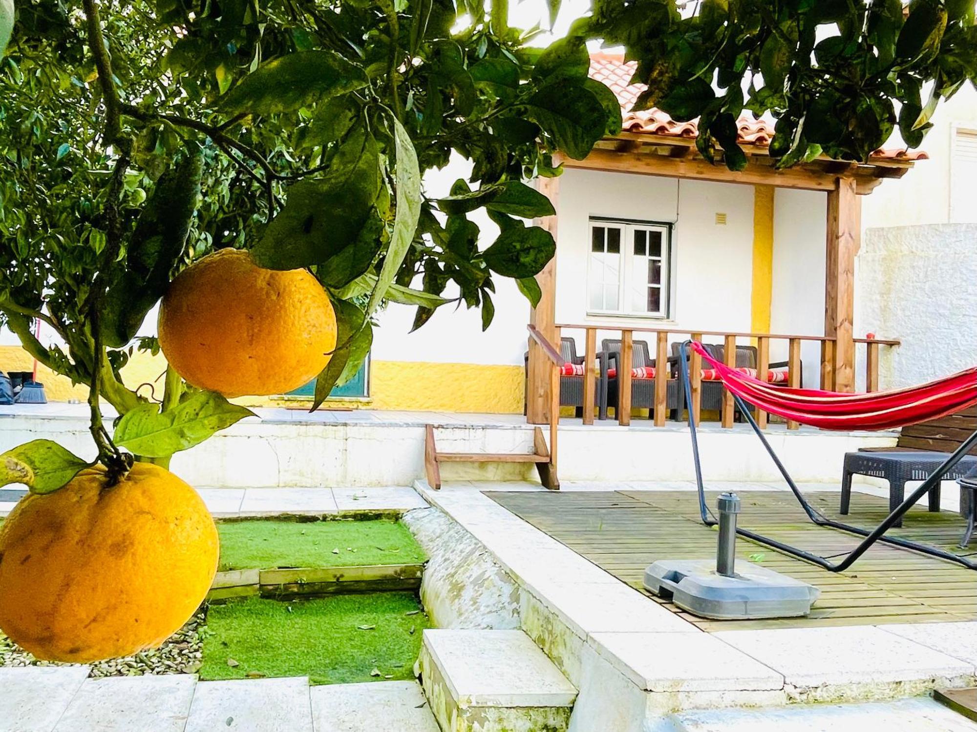 Villa Casa Da Laranjeira à Vale Covo  Extérieur photo
